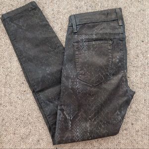 [JOE’S] waxed snakeprint jean